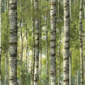 Zöld erdős tapéta nappaliba, hálóba