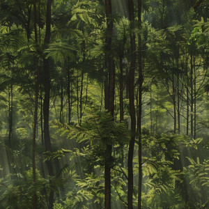 Fás, erdős tapéta nappaliba, hálóba