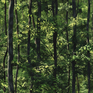 Zölderdős, fás tapéta nappaliba, hálóba