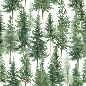 Fenyős tapéta nappaliba, hálóba