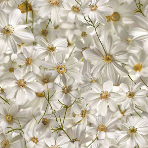 Fehér virágos tapéta nappaliba, hálóba