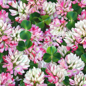 Lóhere virágos mezős tapéta nappaliba, hálóba