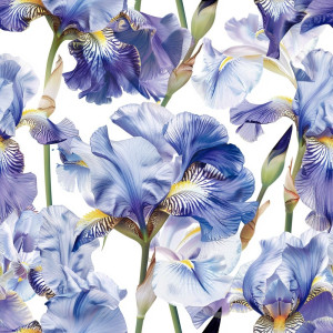 Írisz virág mintás tapéta nappaliba, hálóba