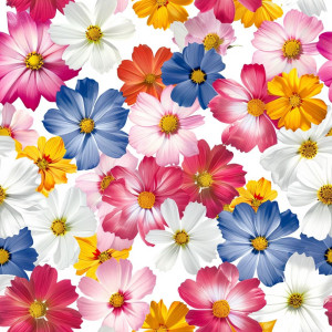 Színes virág mintás tapéta nappaliba, hálóba