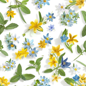 Vadvirágok tapéta nappaliba, hálóba