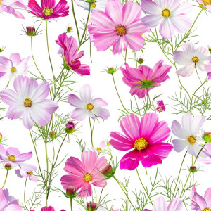 Kozmosz virág mintás tapéta nappaliba, hálóba