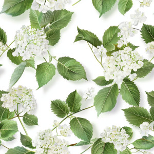 Labdarózsás tapéta nappaliba, hálóba