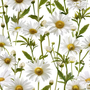 Margaréta virág mintás tapéta nappaliba, hálóba