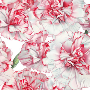 Rózsaszín szegfűs tapéta nappaliba, hálóba