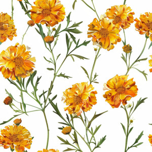 Körömvirágos tapéta nappaliba, hálóba